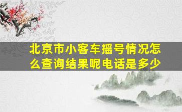 北京市小客车摇号情况怎么查询结果呢电话是多少