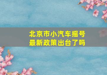 北京市小汽车摇号最新政策出台了吗