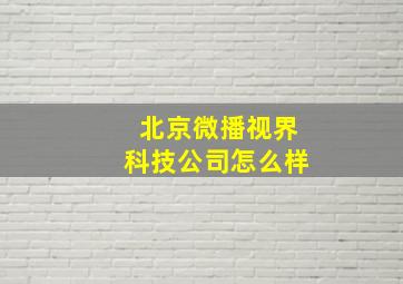 北京微播视界科技公司怎么样