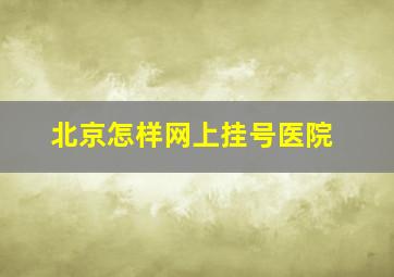 北京怎样网上挂号医院