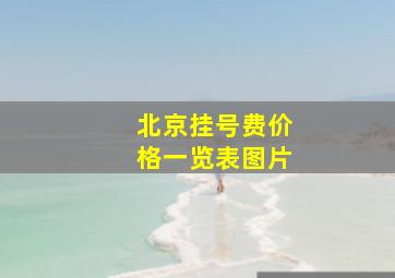 北京挂号费价格一览表图片