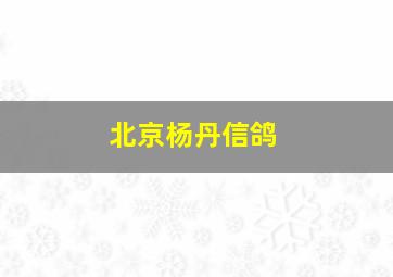 北京杨丹信鸽