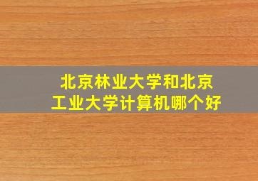 北京林业大学和北京工业大学计算机哪个好