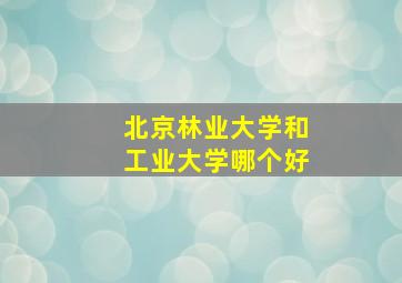 北京林业大学和工业大学哪个好