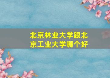 北京林业大学跟北京工业大学哪个好