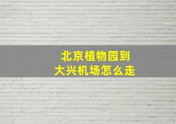 北京植物园到大兴机场怎么走