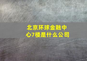 北京环球金融中心7楼是什么公司