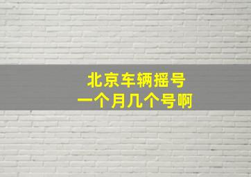 北京车辆摇号一个月几个号啊