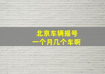 北京车辆摇号一个月几个车啊