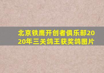 北京铁鹰开创者俱乐部2020年三关鸽王获奖鸽图片