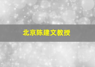 北京陈建文教授