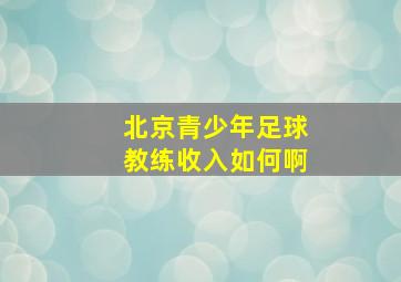 北京青少年足球教练收入如何啊