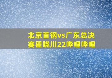 北京首钢vs广东总决赛翟晓川22哔哩哔哩