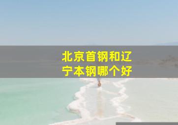 北京首钢和辽宁本钢哪个好