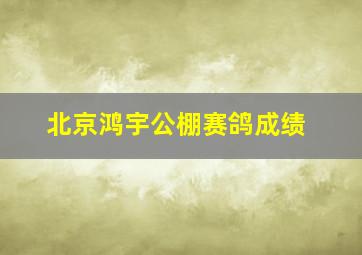 北京鸿宇公棚赛鸽成绩