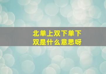 北单上双下单下双是什么意思呀