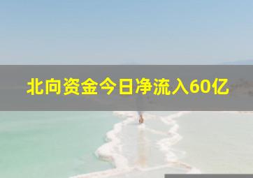 北向资金今日净流入60亿