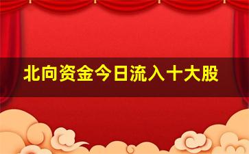 北向资金今日流入十大股