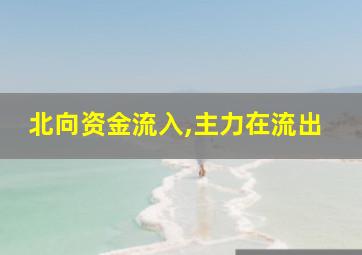 北向资金流入,主力在流出