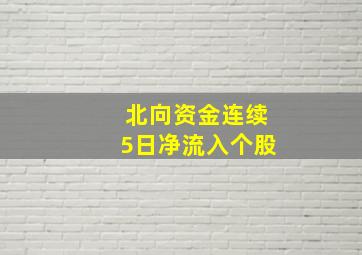 北向资金连续5日净流入个股