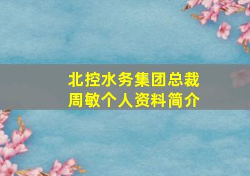 北控水务集团总裁周敏个人资料简介