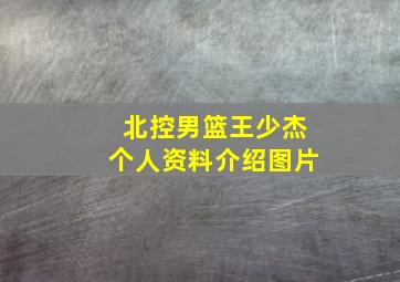 北控男篮王少杰个人资料介绍图片