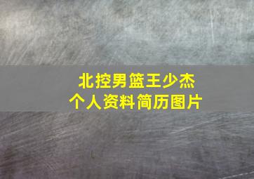 北控男篮王少杰个人资料简历图片