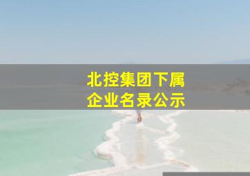 北控集团下属企业名录公示