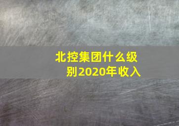 北控集团什么级别2020年收入