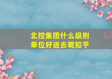 北控集团什么级别单位好进去呢知乎