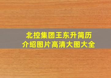 北控集团王东升简历介绍图片高清大图大全