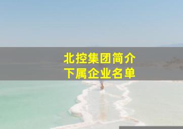 北控集团简介下属企业名单