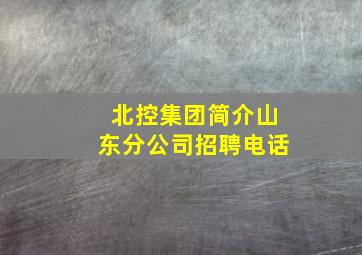 北控集团简介山东分公司招聘电话