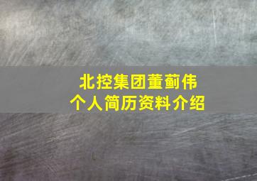 北控集团董蓟伟个人简历资料介绍