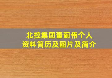 北控集团董蓟伟个人资料简历及图片及简介