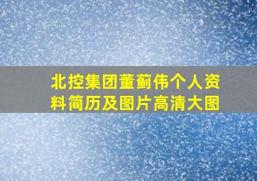 北控集团董蓟伟个人资料简历及图片高清大图