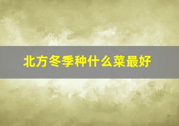 北方冬季种什么菜最好