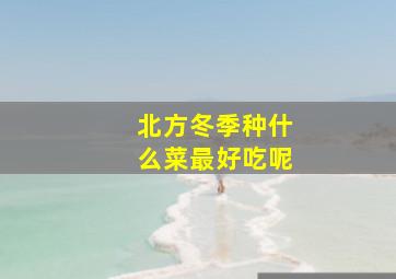 北方冬季种什么菜最好吃呢