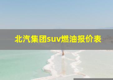 北汽集团suv燃油报价表