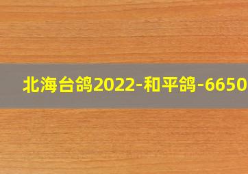 北海台鸽2022-和平鸽-665024