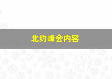 北约峰会内容