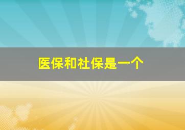 医保和社保是一个