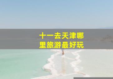 十一去天津哪里旅游最好玩