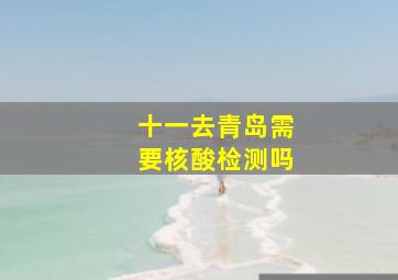 十一去青岛需要核酸检测吗