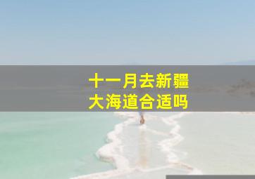 十一月去新疆大海道合适吗