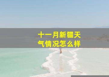 十一月新疆天气情况怎么样