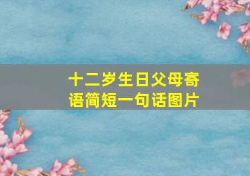 十二岁生日父母寄语简短一句话图片