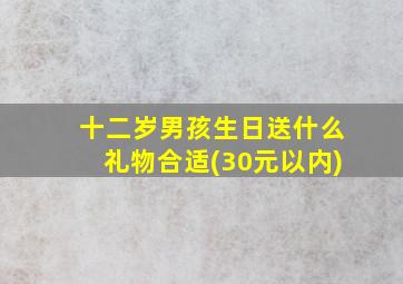 十二岁男孩生日送什么礼物合适(30元以内)