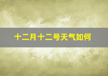 十二月十二号天气如何