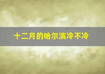 十二月的哈尔滨冷不冷